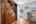 Blurred preview of media: 121 West Selfridge (37)