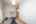 Blurred preview of media: DSC03902