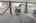 Blurred preview of media: DSC02909