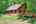 Blurred preview of media: IMG_0556_7_8_easyHDR