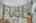 Blurred preview of media: DSC02210