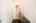 Blurred preview of media: jkcondo-2