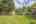 Blurred preview of media: k3