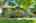 Blurred preview of media: 260190-21a