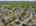 Blurred preview of media: 556-princeton-street-new-milford-nj-usa-drone-005