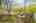 Blurred preview of media: 68