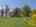 Blurred preview of media: IMG_1194.1