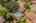 Blurred preview of media: 5500MeadowOakSt-54