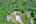 Blurred preview of media: DJI_0154_5_6_easyHDR