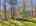 Blurred preview of media: DJI_20260424125526_0669_D_70_D_71_D_easyHDR