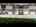 Blurred preview of media: Unknown media