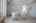 Blurred preview of media: IMG_8797