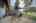 Blurred preview of media: 098