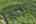 Blurred preview of media: 062