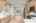 Blurred preview of media: 1-7