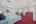 Blurred preview of media: Image Sep 6, 2026 at 07_41_01 PM