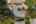 Blurred preview of media: 1-45