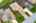 Blurred preview of media: iPixx_10_19