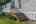 Blurred preview of media: 081A0215-Edit