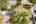 Blurred preview of media: Screenshot 2025-09-14 at 8.03.18 PM
