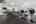 Blurred preview of media: Aberdean-11
