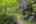 Blurred preview of media: 60-10565_SW_Cormorant_Dr
