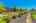 Blurred preview of media: IMG_1803