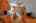 Blurred preview of media: Sky Tour-86