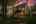 Blurred preview of media: bristowtwilight_010