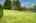 Blurred preview of media: 049