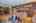 Blurred preview of media: IMG_1915_6_7