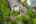 Blurred preview of media: 20250808L_lg_JW0011