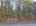 Blurred preview of media: DJI_20260505133759_0775_D_6_D_7_D_easyHDR