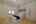 Blurred preview of media: DSC_2019