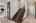 Blurred preview of media: 214SilentSpring-45