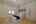 Blurred preview of media: DSC_2019