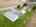 Blurred preview of media: 77242 London Rd-59