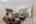 Blurred preview of media: 182 Windermere Way-20