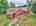 Blurred preview of media: DJI_20260625122613_0429_D_30_D_31_D_easyHDR