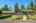 Blurred preview of media: 40