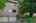 Blurred preview of media: 02