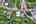 Blurred preview of media: DJI_0165_6_7_easyHDR