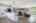 Blurred preview of media: IMG_1x242