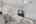 Blurred preview of media: 1309 Hideaway Drive S-65