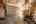 Blurred preview of media: DSC_0016