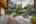 Blurred preview of media: DSC08964