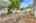 Blurred preview of media: 31