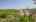 Blurred preview of media: IMG_1213.1