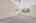 Blurred preview of media: 1580 Blakcomb Court 00067