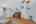 Blurred preview of media: DSC02340